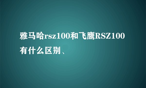 雅马哈rsz100和飞鹰RSZ100有什么区别、