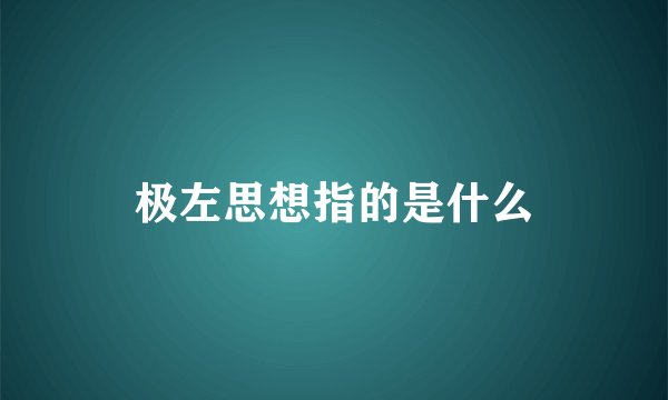极左思想指的是什么
