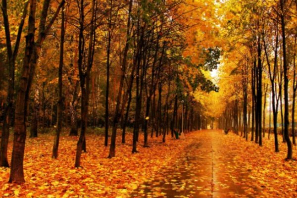 2023年立秋是几点几分几秒