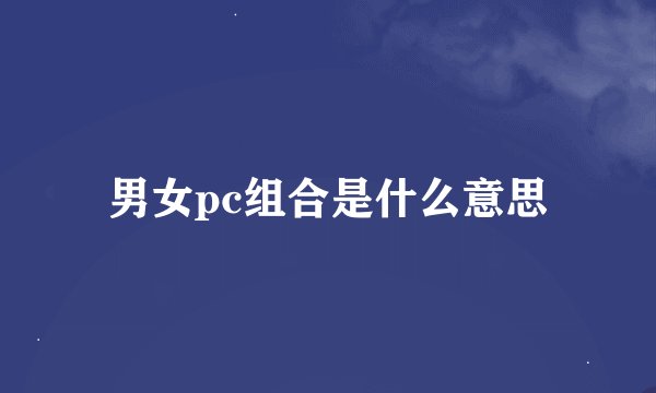 男女pc组合是什么意思