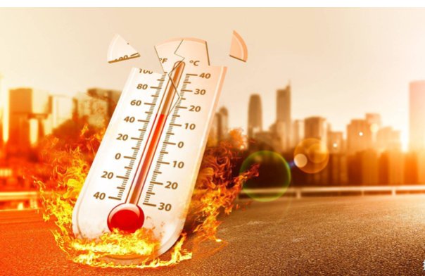 四川绵阳高温停电，数万斤鱼缺氧死亡漂满水面，造成的损失谁来承担？