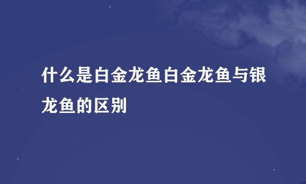 什么是白金龙鱼白金龙鱼与银龙鱼的区别