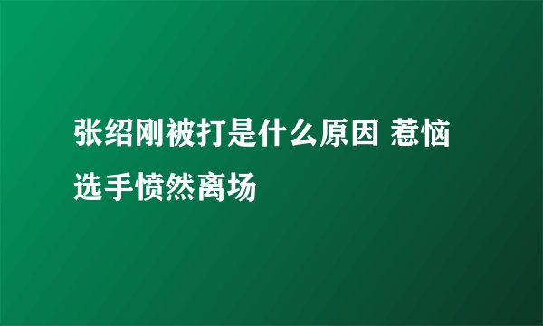 张绍刚被打是什么原因 惹恼选手愤然离场