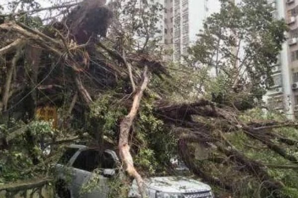 广东一记者台风中抱着柱子做报道，台风的威力到底有多大？