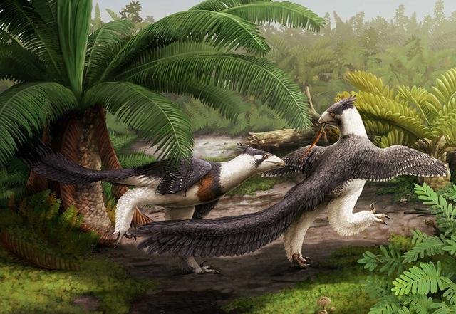 刚果盆地深处还有活恐龙，这是真的吗？