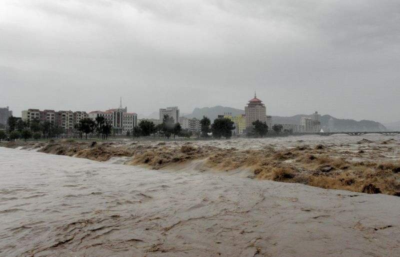 家禽被困洪水中，鸡是如何在洪水中存活七天的？