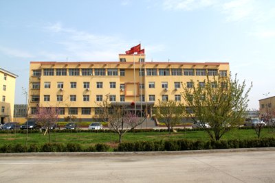 山东大王集团有限公司的介绍