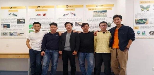 已经出现退化现象，福建发现的这种新物种是什么？