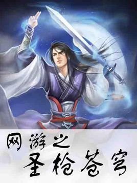 网游之圣枪苍穹的人物属性卡