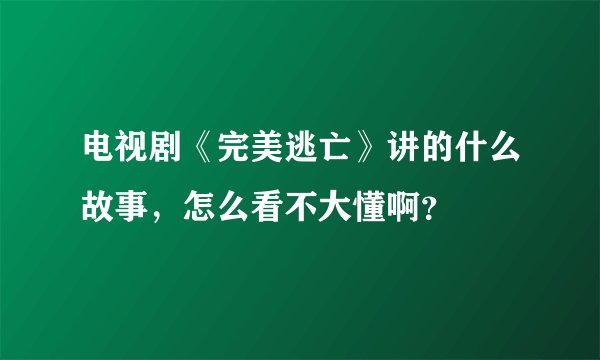 电视剧《完美逃亡》讲的什么故事，怎么看不大懂啊？