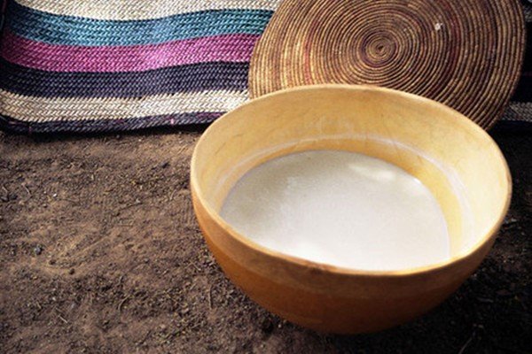 骆驼奶和牛奶到底哪个营养价值更高？