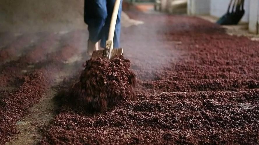 巽风重阳下沙的沙特指