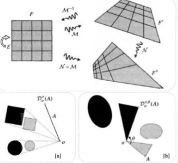 特征向量是什么？