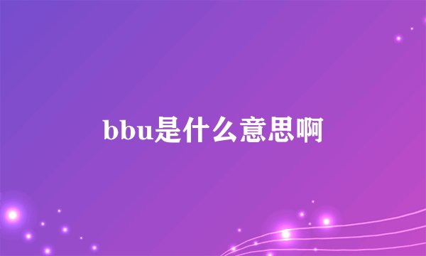 bbu是什么意思啊