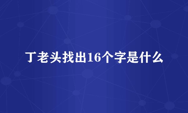 丁老头找出16个字是什么