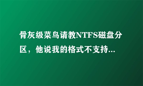 骨灰级菜鸟请教NTFS磁盘分区，他说我的格式不支持超过4G的，要改什么东西哦。高手救名啊！！！