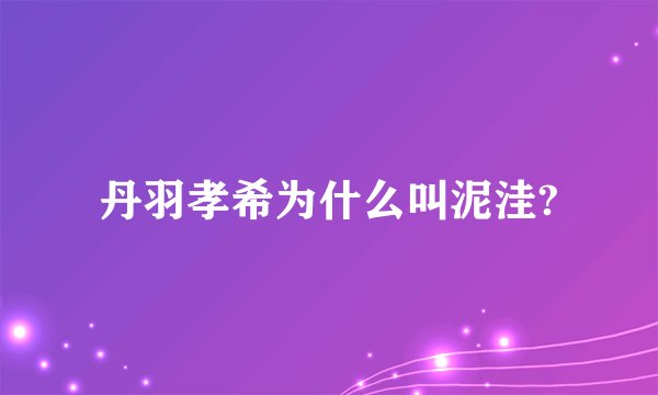 丹羽孝希为什么叫泥洼?