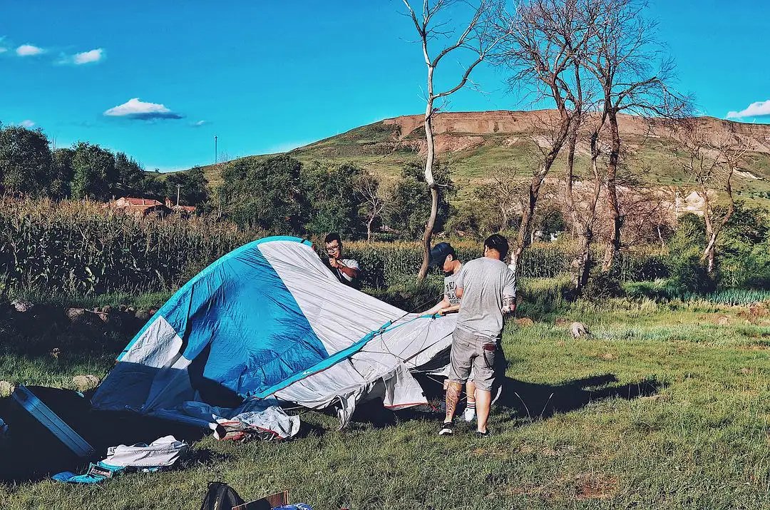 山东一女子带娃露营，帐篷遭羊群包围，野外露营如何将危险降到最低？
