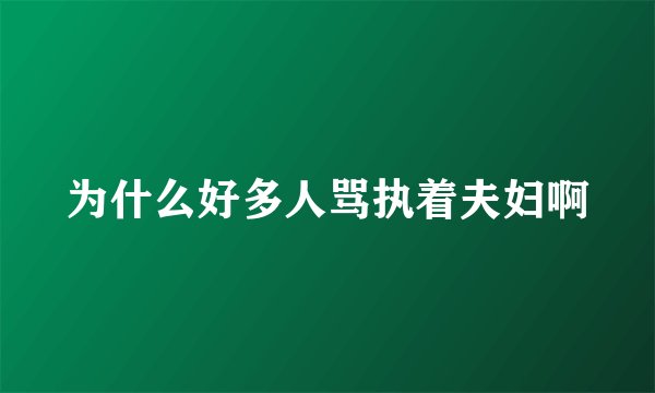为什么好多人骂执着夫妇啊