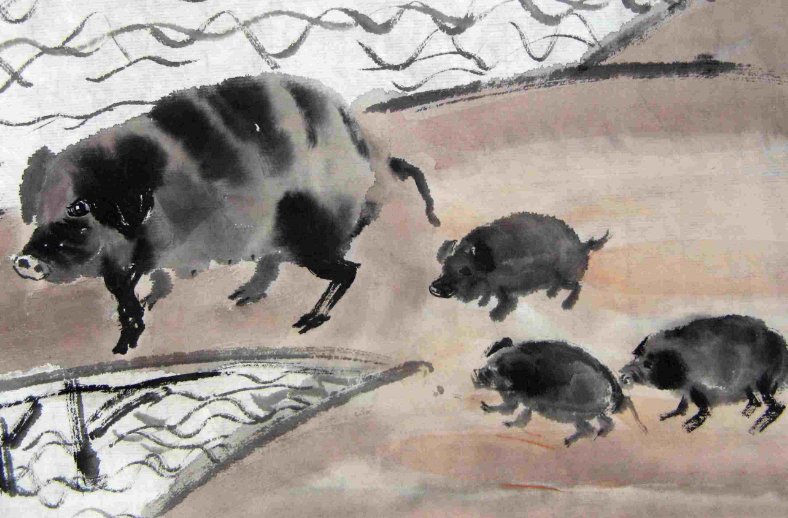 属猪的本命年是哪一年