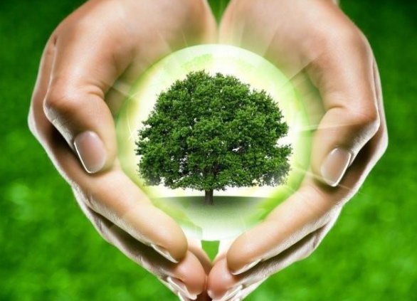 什么是绿色情人节