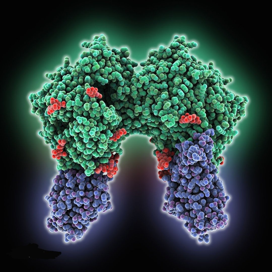 mers是什么，跟韩国有什么关系？