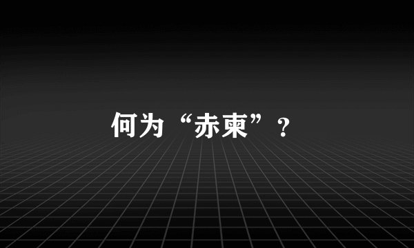 何为“赤柬”？