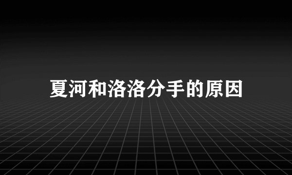 夏河和洛洛分手的原因