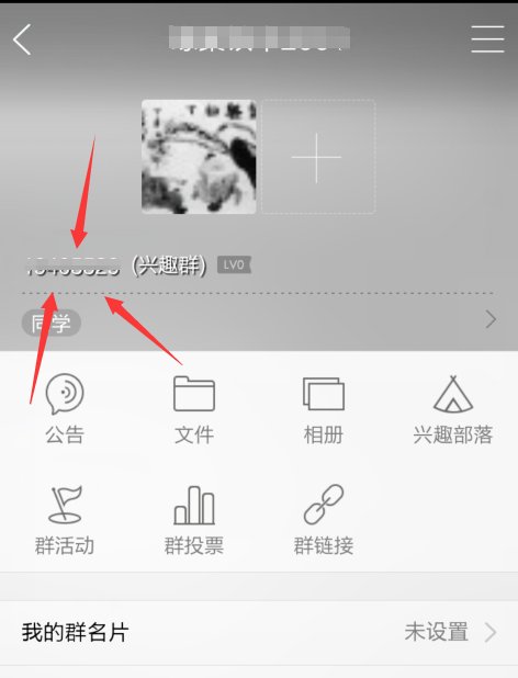 QQ群号码在哪里能看见