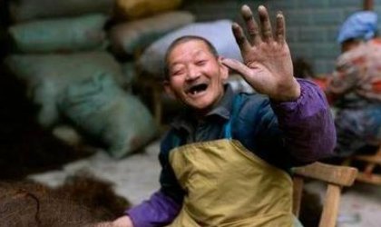 河南拔智齿什么梗