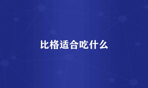 比格适合吃什么