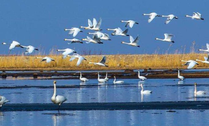 湖南蓝山为何连关3天射灯？