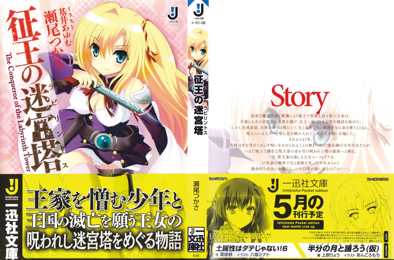 征王之迷宫塔的介绍