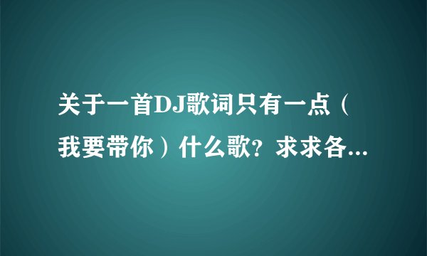 关于一首DJ歌词只有一点（我要带你）什么歌？求求各位大神 帮我找到绝对发红包给你