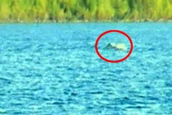 10大最吓人的水怪