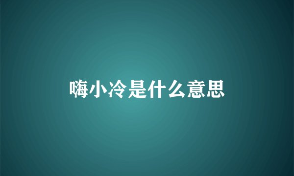 嗨小冷是什么意思