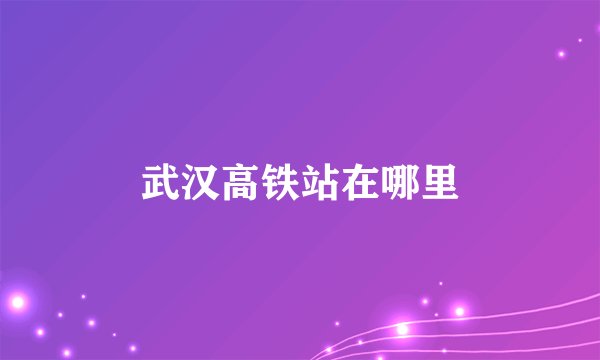 武汉高铁站在哪里
