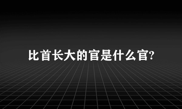 比首长大的官是什么官?