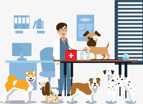 兽医资格考试报名需要上传照片吗？