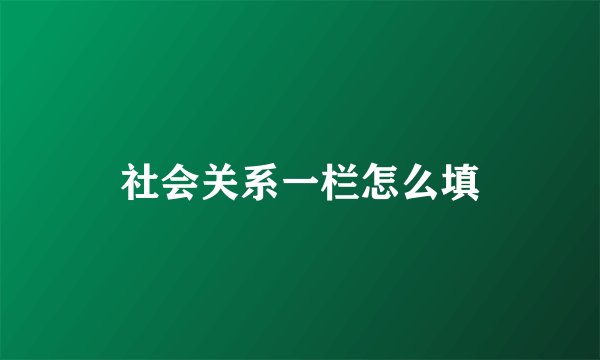 社会关系一栏怎么填