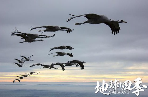 《地球四季》是一部怎样的纪录片？