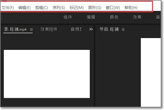 pr九尾狐正能量版如何使用？