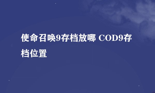 使命召唤9存档放哪 COD9存档位置
