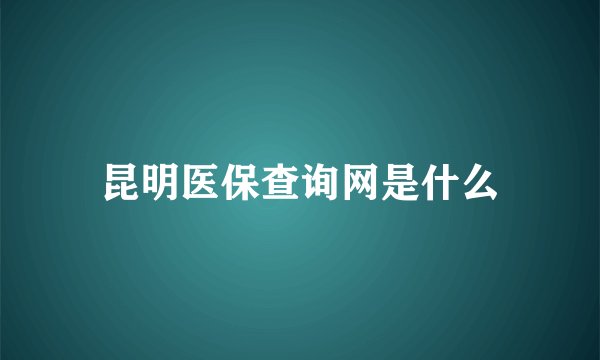 昆明医保查询网是什么