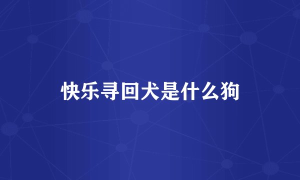 快乐寻回犬是什么狗