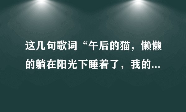 这几句歌词“午后的猫，懒懒的躺在阳光下睡着了，我的心跳却在奔跑，跟随你到天涯海角。”是哪首歌里面的