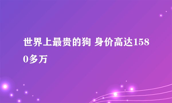 世界上最贵的狗 身价高达1580多万