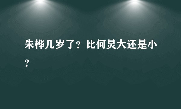 朱桦几岁了？比何炅大还是小？