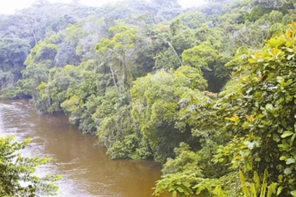 10大最吓人的水怪