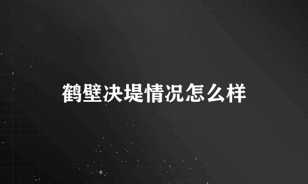 鹤壁决堤情况怎么样